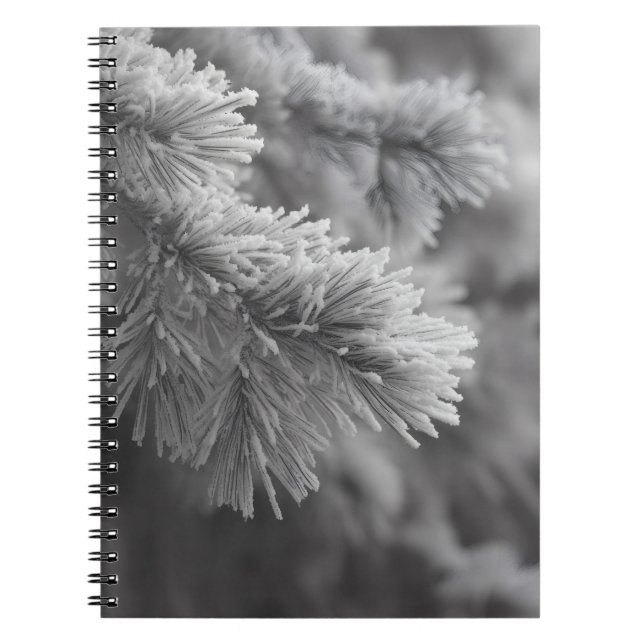 Carnet de la Branche d'hiver de la Pinède congelée (Devant)