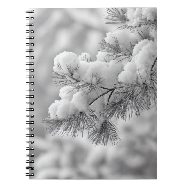 Carnet de la branche du pin couvert par la neige (Devant)