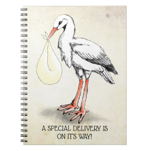 Carnet de la livraison spéciale de cigogne