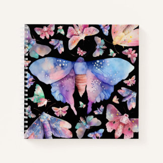 Carnet de la motte