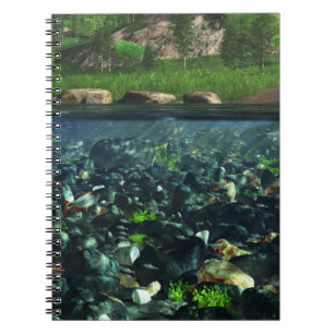Carnet de la rivière Cwm