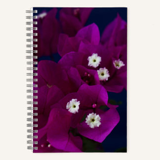 Carnet de la spirale de la fleur magenta