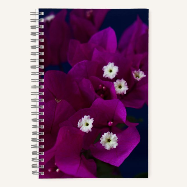 Carnet de la spirale de la fleur magenta (Recto)