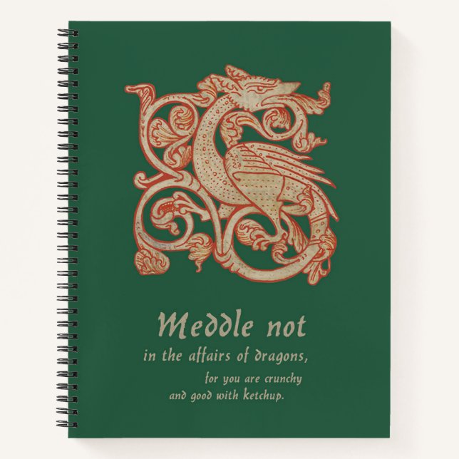 Carnet de la spirale du Dragon médiéval (Devant)