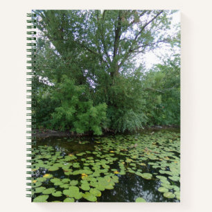 Carnet de la spirale du lac des Arbres