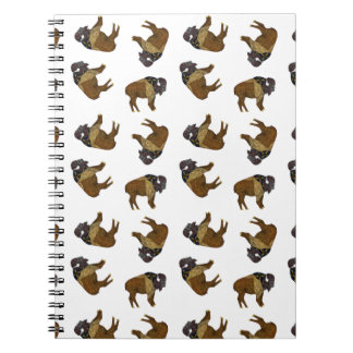 Carnet de lancer de Buffalo