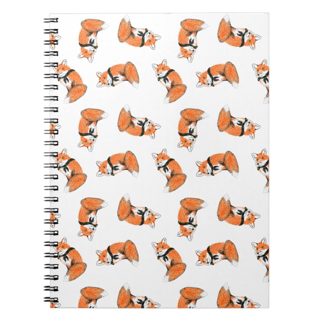 Carnet de lancer de Fox (Devant)