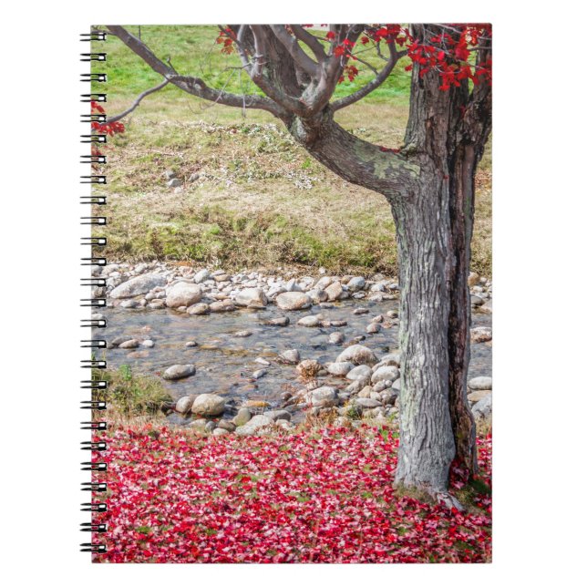 Carnet de l'arbre d'automne rouge (Devant)