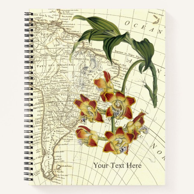 Carnet de l'explorateur de l'Orchidée dorée (Devant)