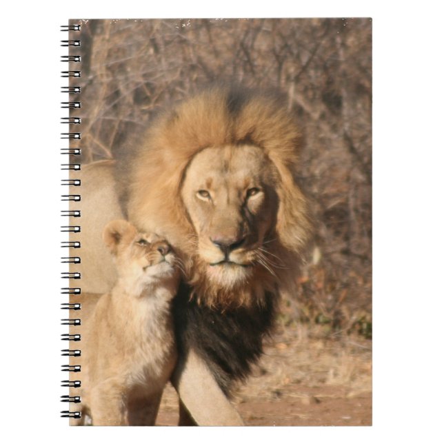 Carnet de lion et de CUB de lion (Devant)