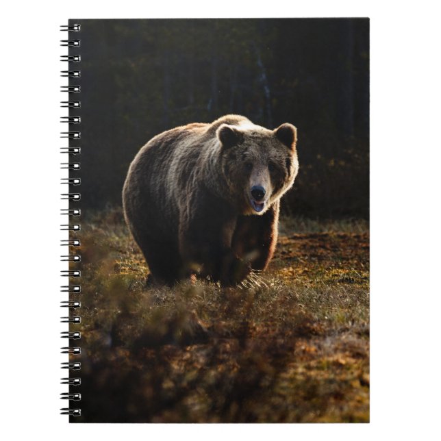 Carnet de l'ours (Devant)