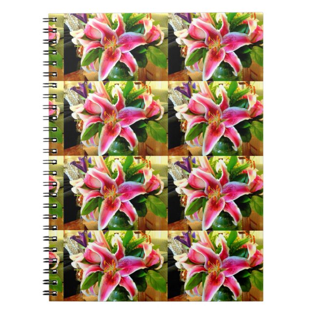 carnet de lys stargazer rose (Devant)