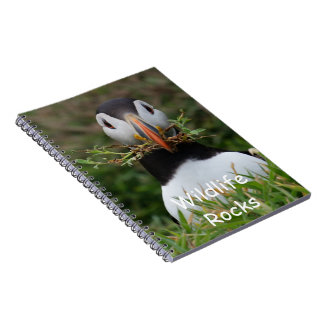 Carnet de macareux atlantique