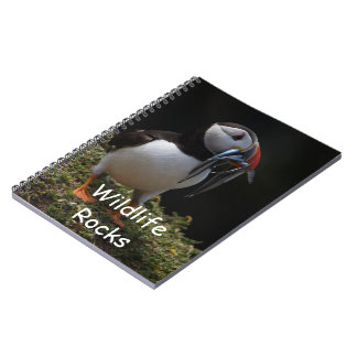 Carnet de macareux atlantique