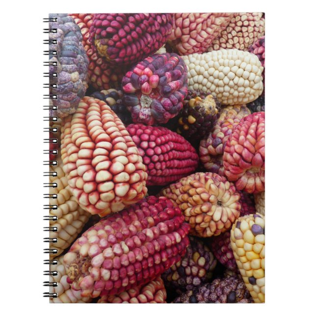 Carnet de maïs coloré (Devant)