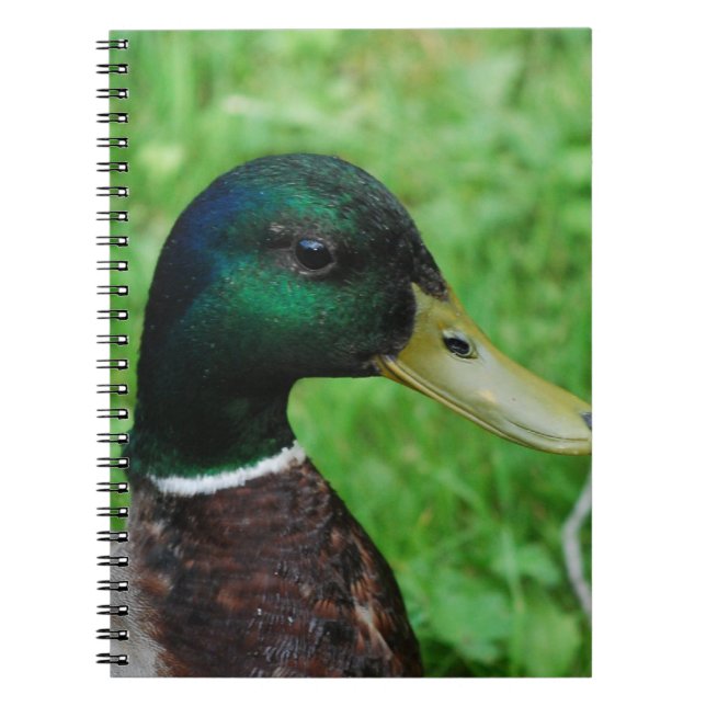 Carnet de Mallard (Devant)