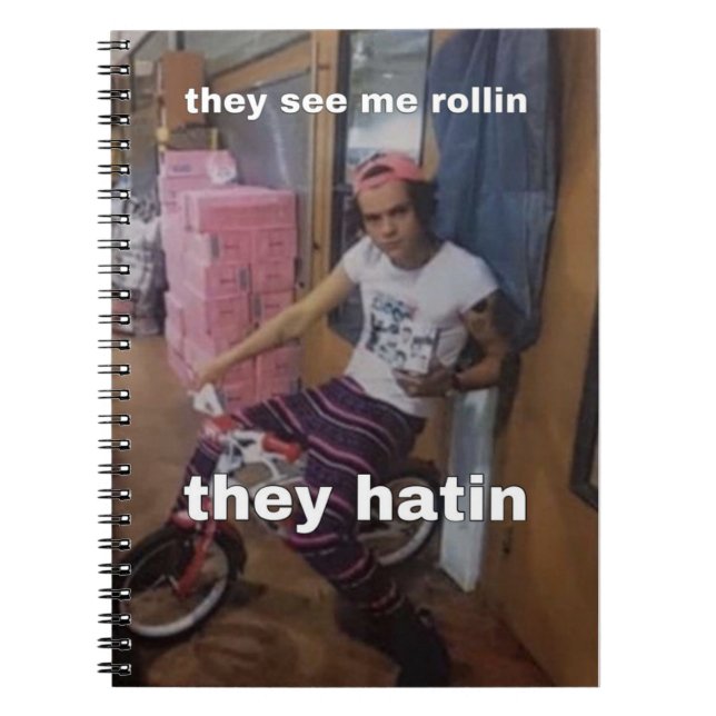 Carnet de mème Harry Styles (Devant)