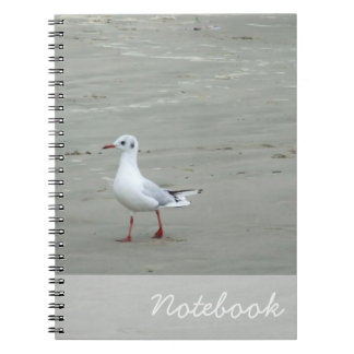 Carnet de mouettes
