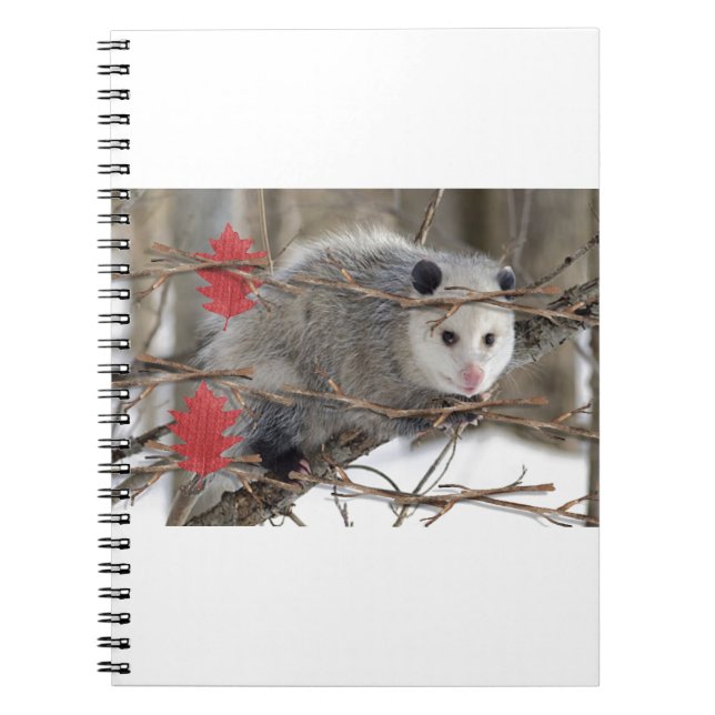 Carnet de nature sur l'opossum (Devant)