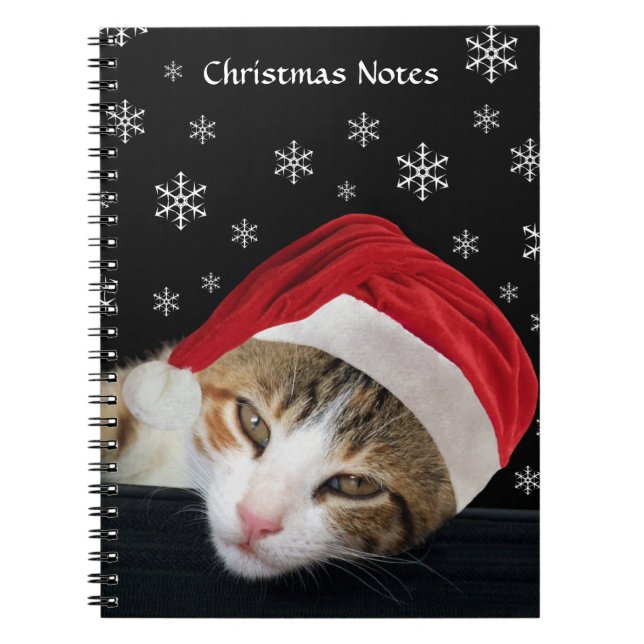 Carnet de Noël de chat (Devant)