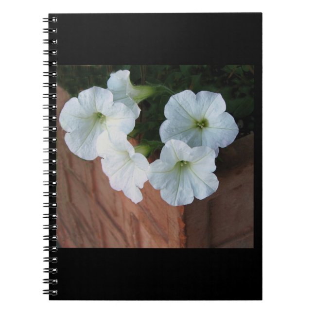 Carnet de notes à spirale avec de beaux pétunias (Devant)