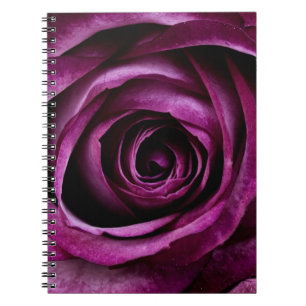 Carnet de notes à spirale de belle de pourpre