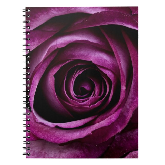 Carnet de notes à spirale de belle de pourpre (Devant)