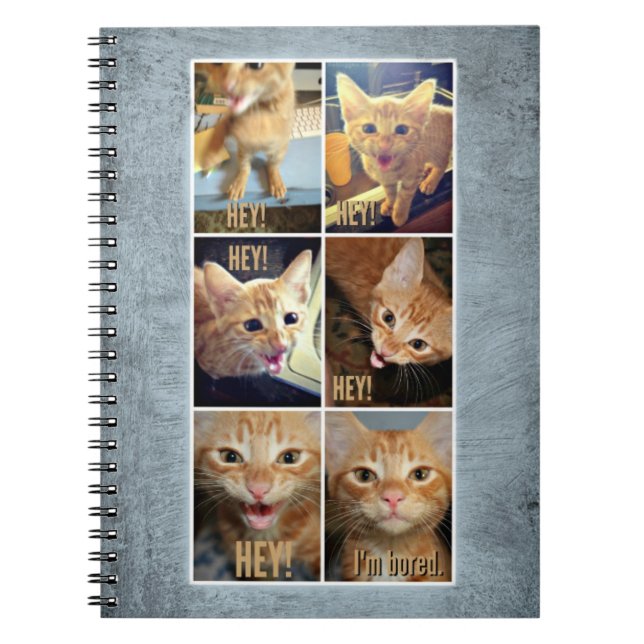 Carnet de notes à spirale pour des choses (Devant)