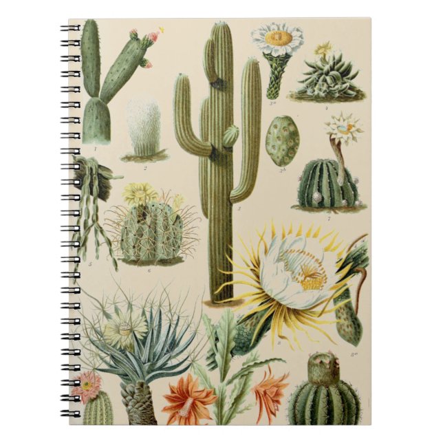 Carnet de notes à spirale vintage du cactus | (Devant)