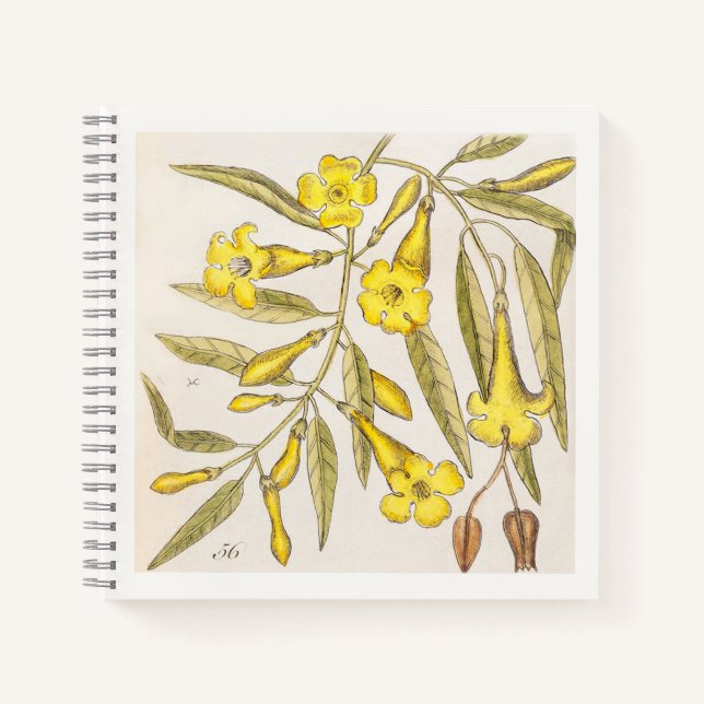 Carnet de notes d'art botanique jaune du 18e siècl (Devant)