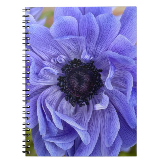 Carnet de notes floral (Devant)
