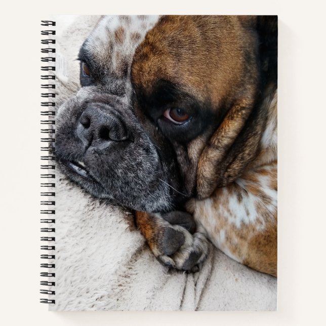 Carnet de notes photo de Bulldog Victorien triste  (Devant)