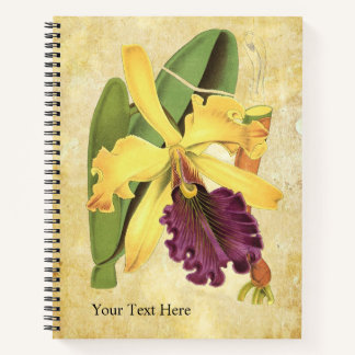 Carnet de notes Queen Orchid