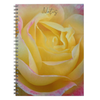carnet de notes rose intemporel
