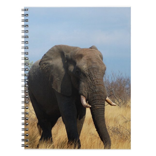 Carnet de pachyderme (Devant)