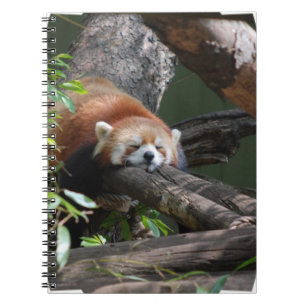 Carnet de panda rouge de sommeil