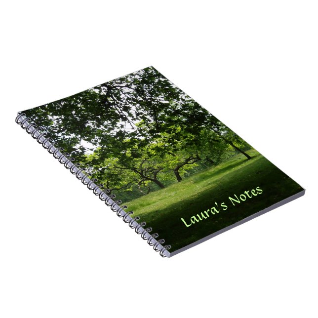 Carnet de parc (Côté Droit)