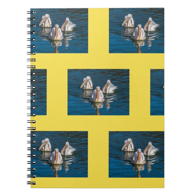 Carnet de pélicans (Devant)