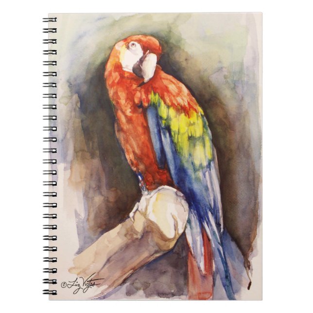 Carnet de perroquets précieux (Devant)