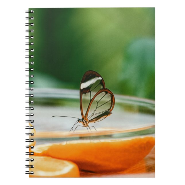Carnet de photos (80 pages B & N) (Devant)