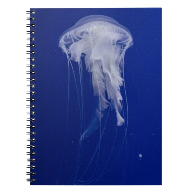 Carnet de photos (80 pages B & N) (Devant)
