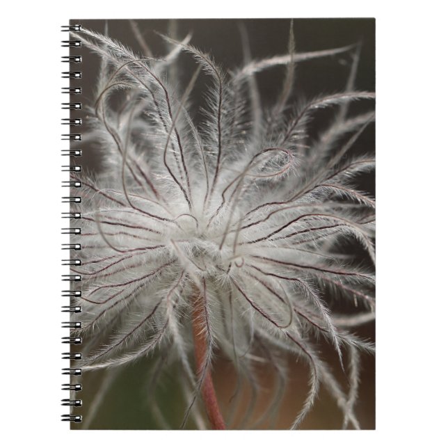 Carnet de photos (80 pages B&W) (Devant)