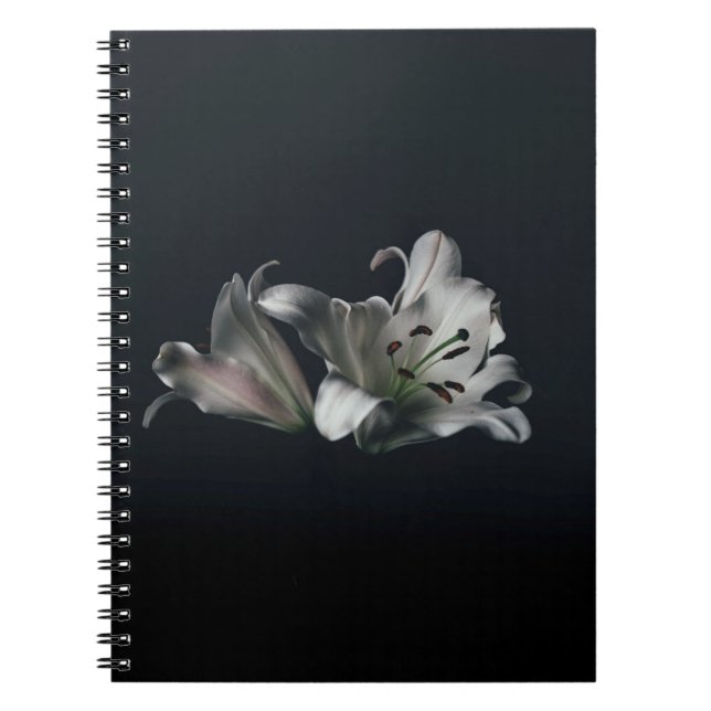 Carnet de photos (80 pages B&W) (Devant)