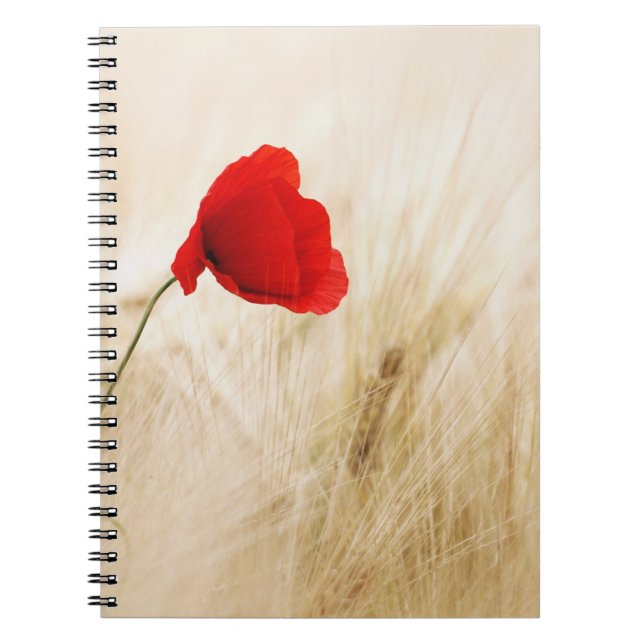 Carnet de photos (80 pages B&W) (Devant)