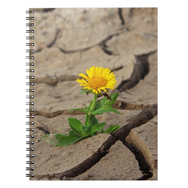 Carnet de photos (80 pages B&W) (Devant)