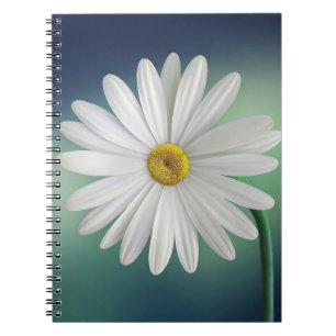 Carnet de photos (80 pages B&W)