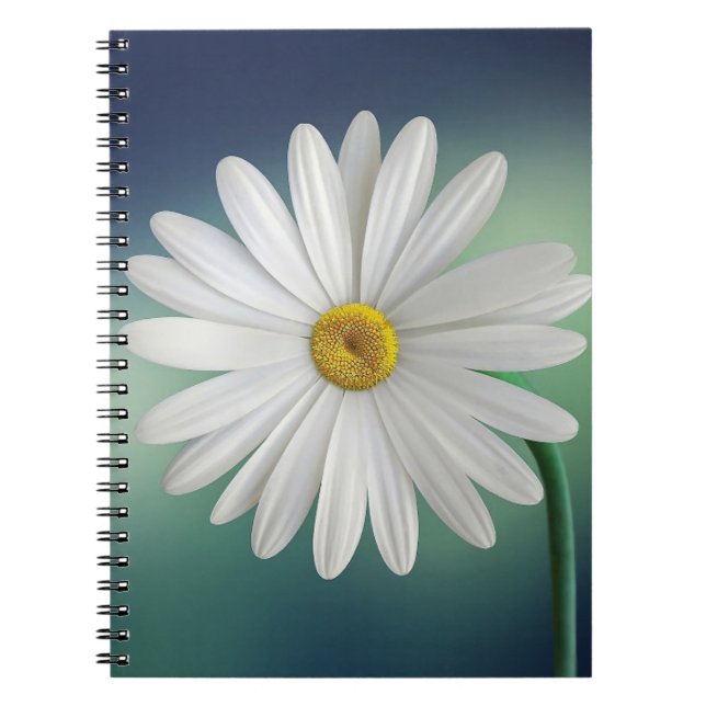 Carnet de photos (80 pages B&W) (Devant)