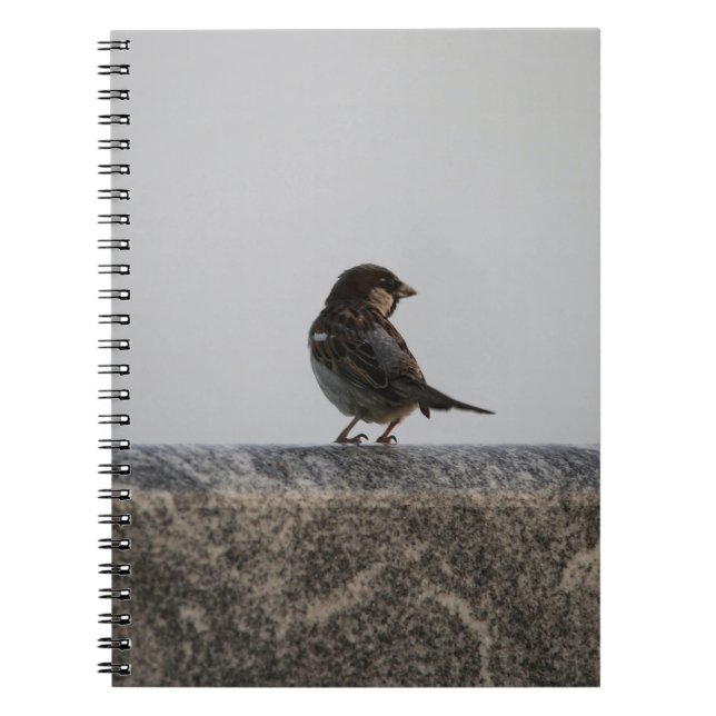 Carnet de photos (80 pages B&W) (Devant)