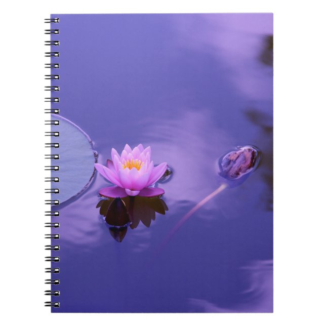 Carnet de photos (80 pages B&W) (Devant)