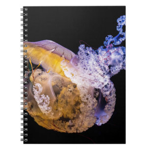 Carnet de photos (80 pages B&W)
